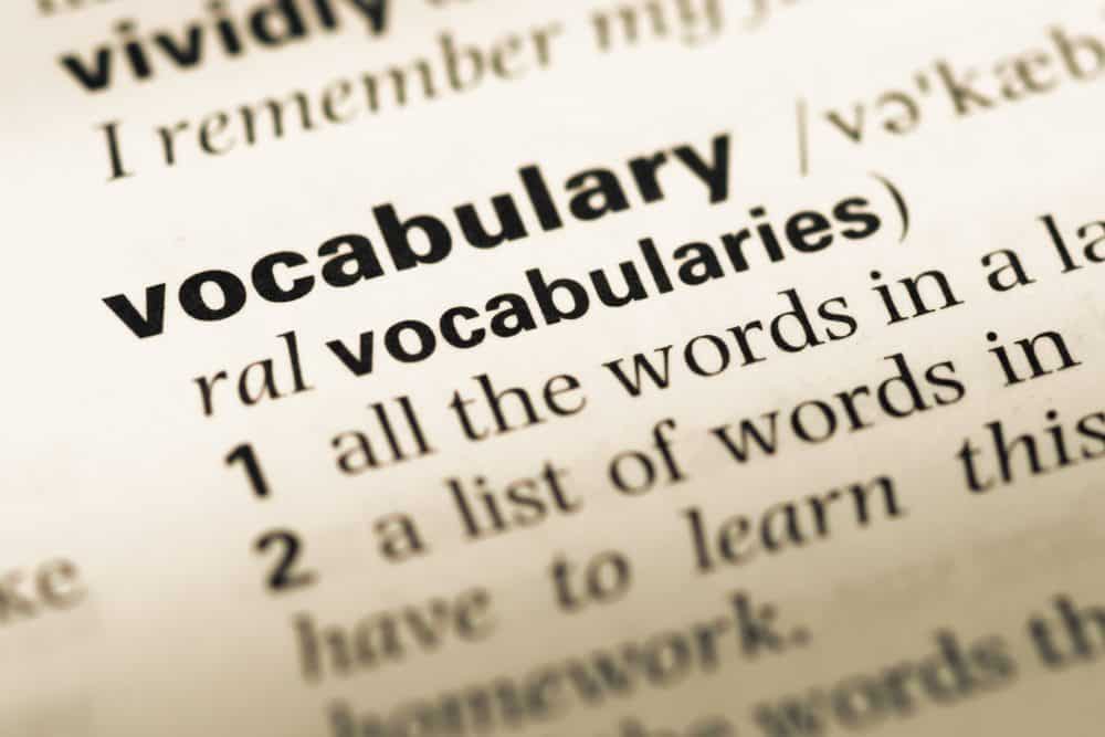 Daily Vocabulary Fun